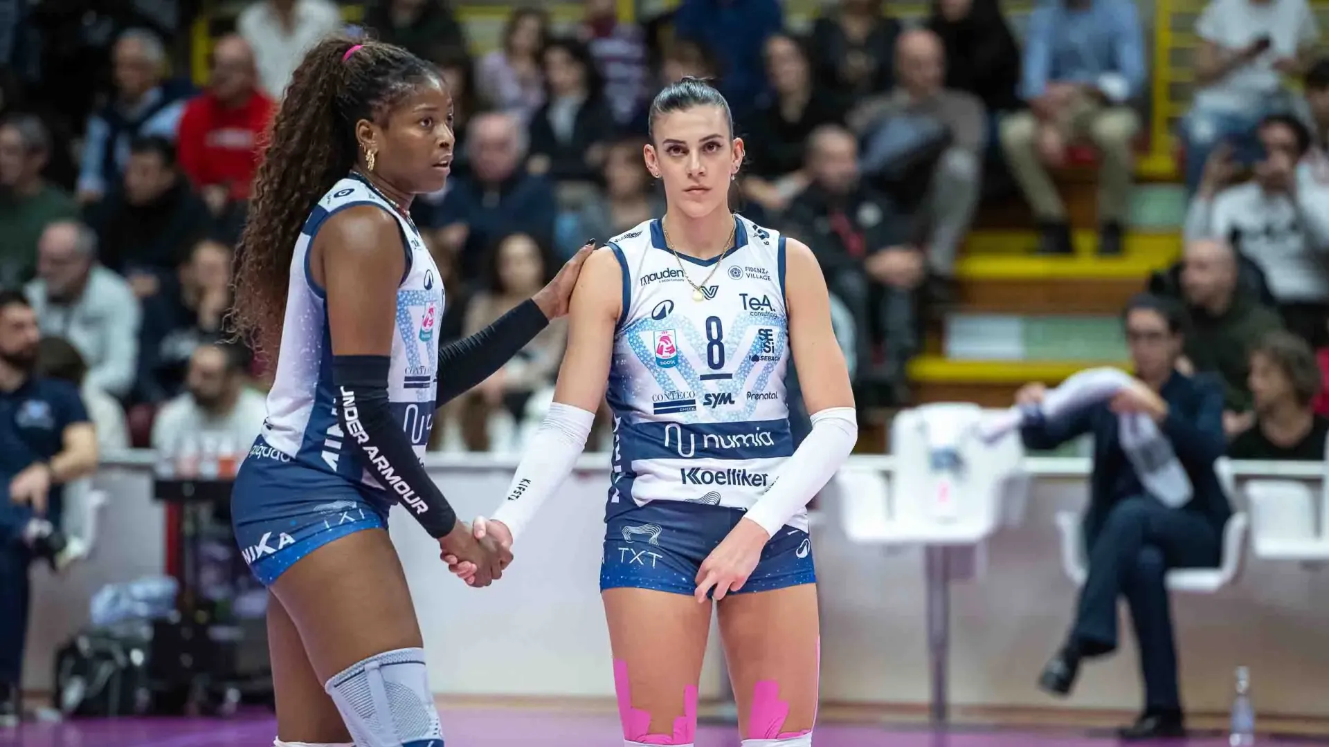 Nuovo appuntamento di Campionato per la Numia Vero Volley Milano, che mercoledì 29 gennaio alle ore 20:00 scenderà in campo al Palalido contro la Wash4green Pinerolo (diretta VBTV).