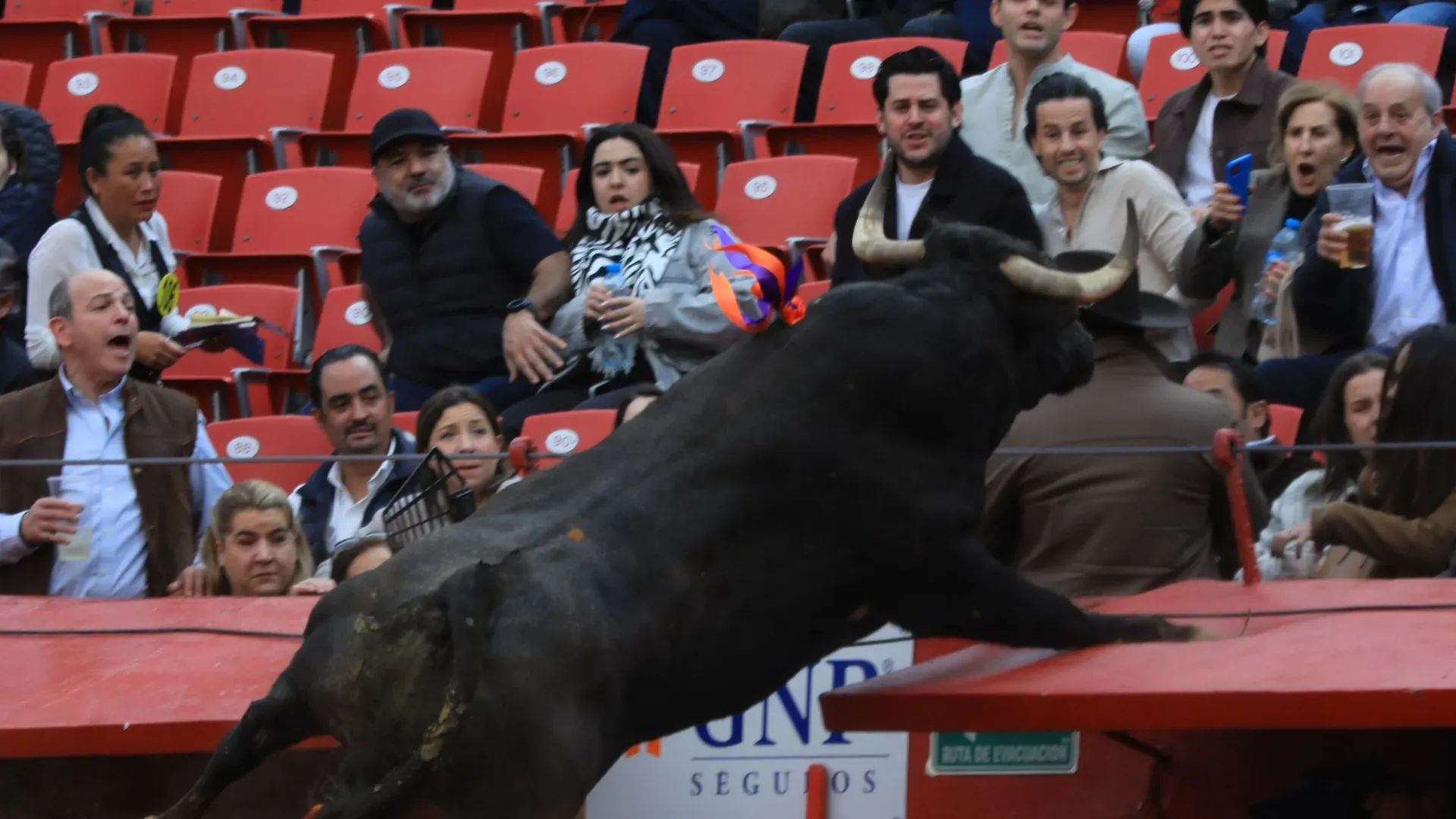 Grande spavento alla prima corrida della Fiera dell'Anniversario del 2025 a Città del Messico