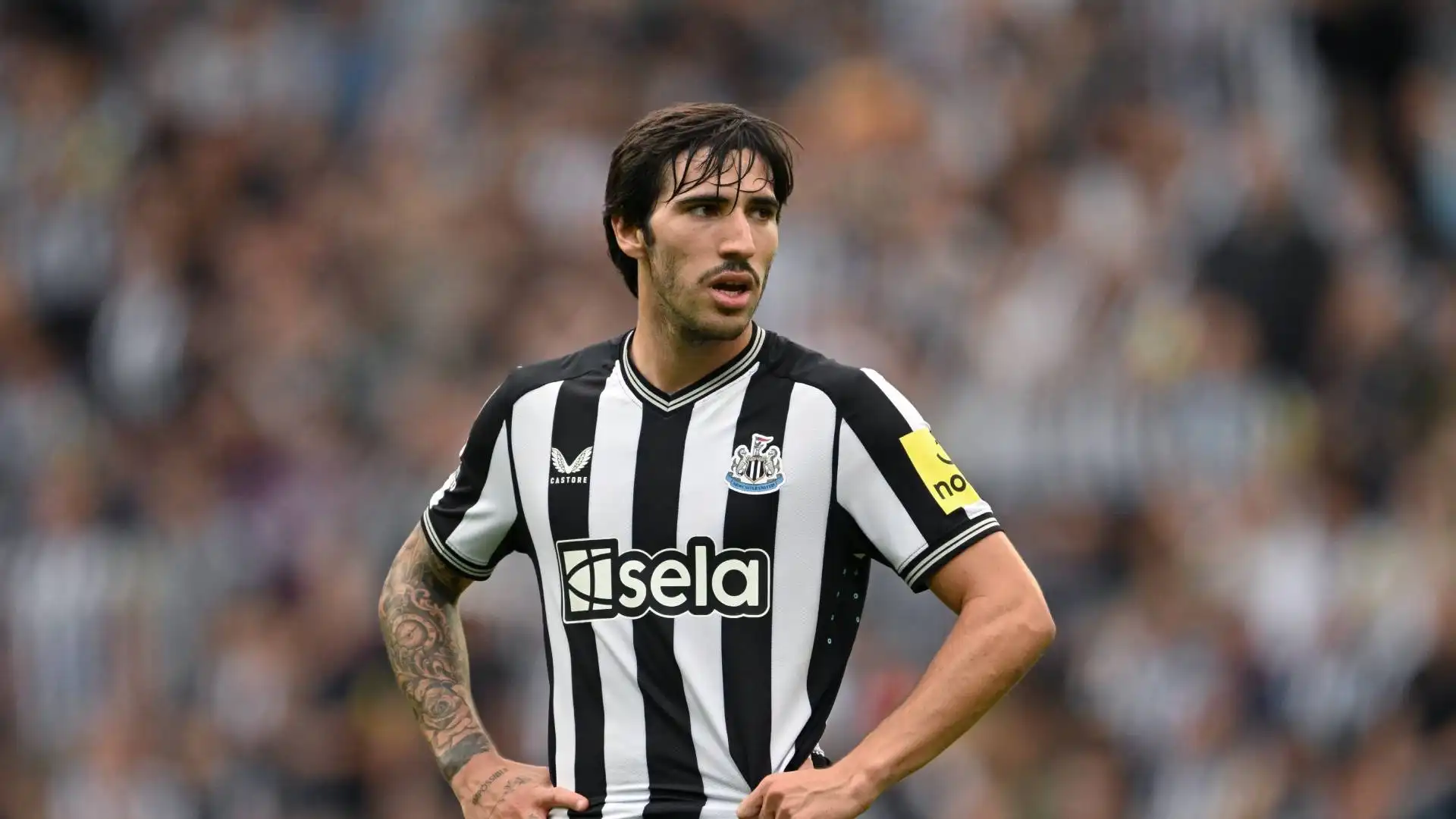 A centrocampo cerca un regista: potrebbe tornare Sandro Tonali dal Newcastle