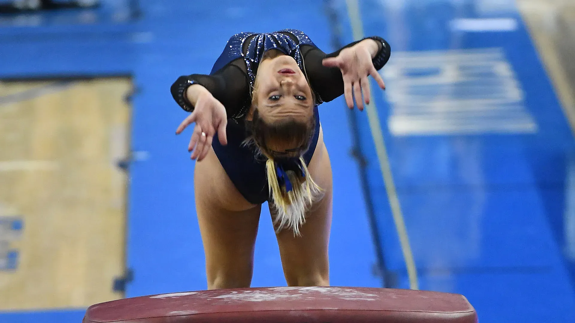 Dopo la laurea, Gracie Kramer si è ritirata a 25 anni ed è diventata assistente allenatrice volontaria per la squadra degli Utah State Aggies