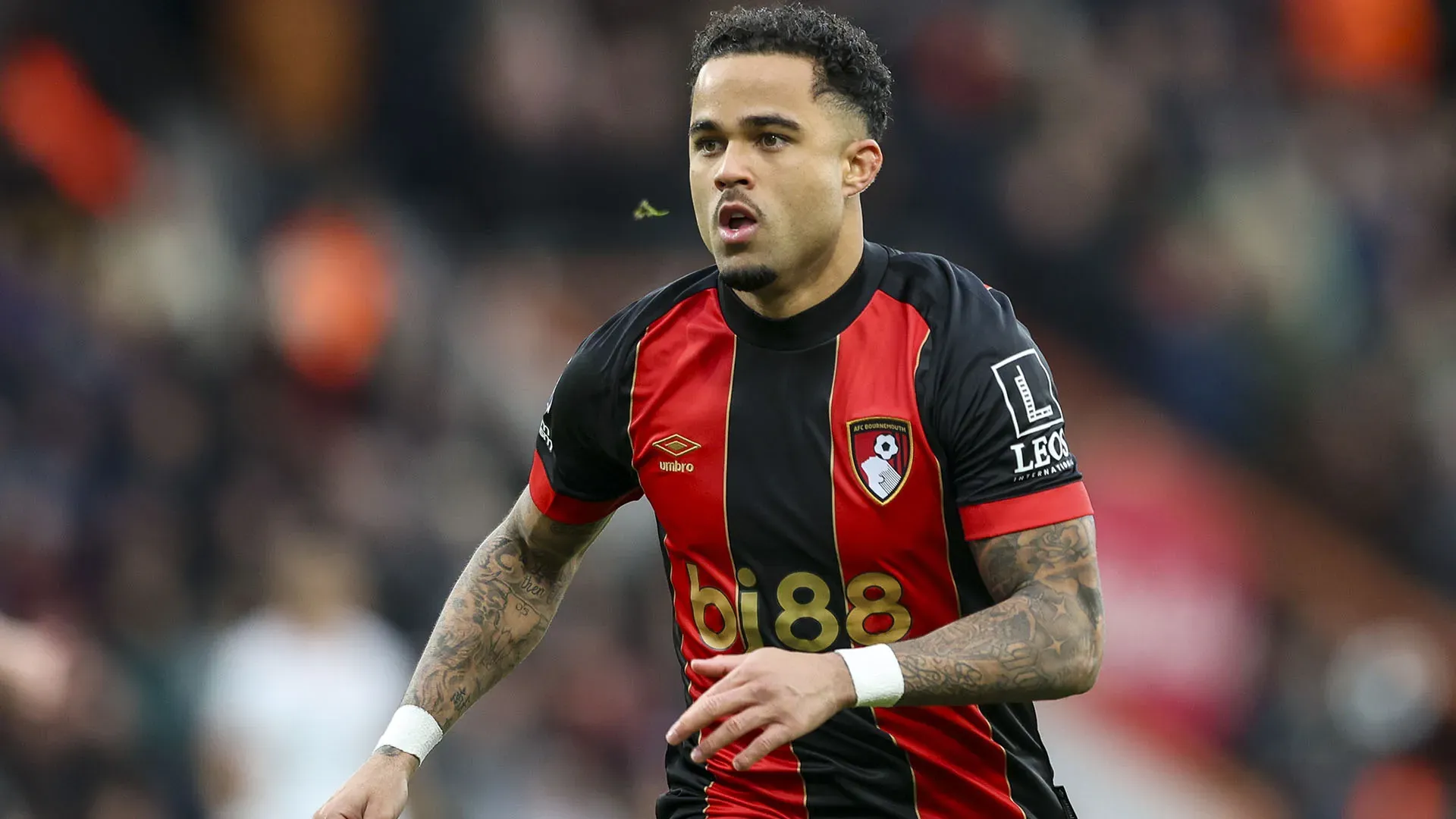 Tra queste c'è anche Justin Kluivert, che sta brillando con il Bournemouth in questa stagione