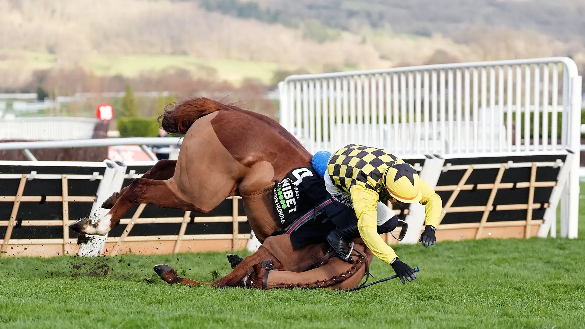 Proprio all'ultimo ostacolo, il cavallo è caduto al suolo