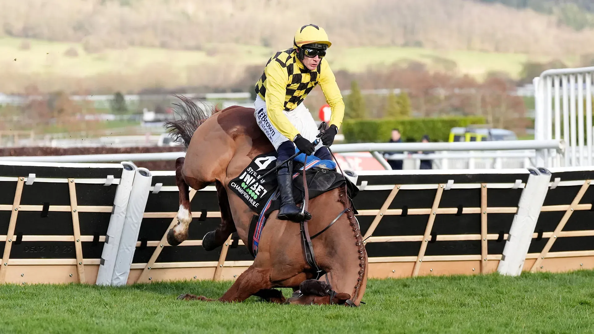 Paul Townend è caduto con il suo cavallo durante una gara del Cheltenham Festival