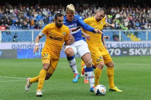 Sampdoria-Verona 5-0 - 29ª giornata Serie A 2013/2014